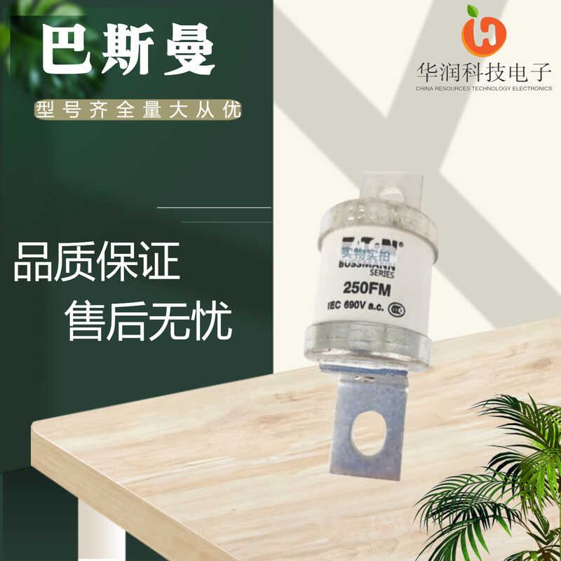 全新现货电子元器件巴斯曼250FM