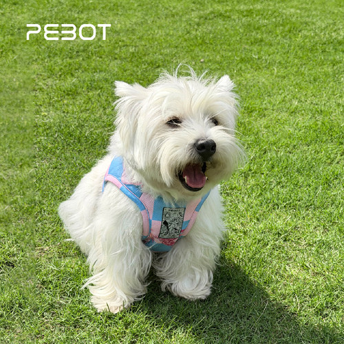 PEBOT狗狗凉凉衣宠物胸背