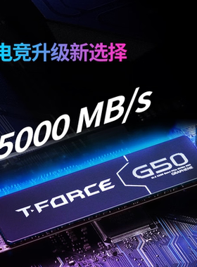 十铨G50 SSD固态硬盘1TB 2T M.2 NVMe PCIe4.0 2280 读速5000MB/s