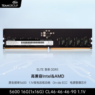 16G 十铨DDR5内存普条台式 32G 原生频率5600 1.1V低电压低功耗 机