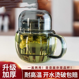 迷你玻璃墩墩壶茶水分离茶杯男女士个人专用小暖壶家用透明泡茶壶