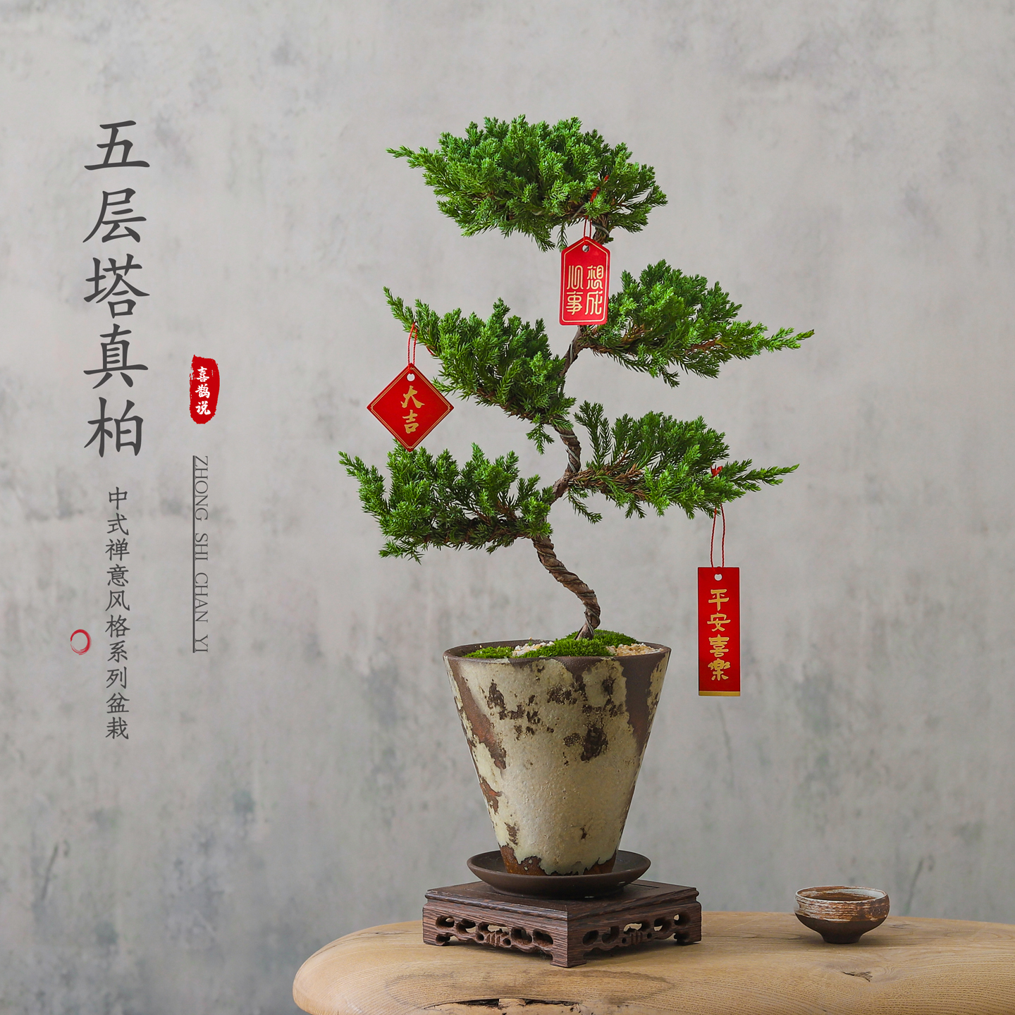 五层塔真柏盆栽植物办公室内桌面侘寂风绿植净化空气花卉盆景