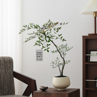 南天竹盆栽意式中古极简室内客厅办公室桌面摆件好养绿植花卉盆景