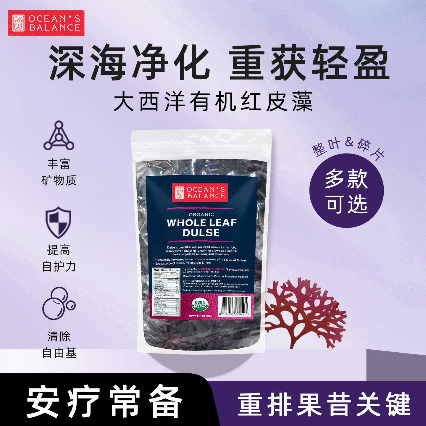 安东尼推荐有机大西洋红皮藻海藻