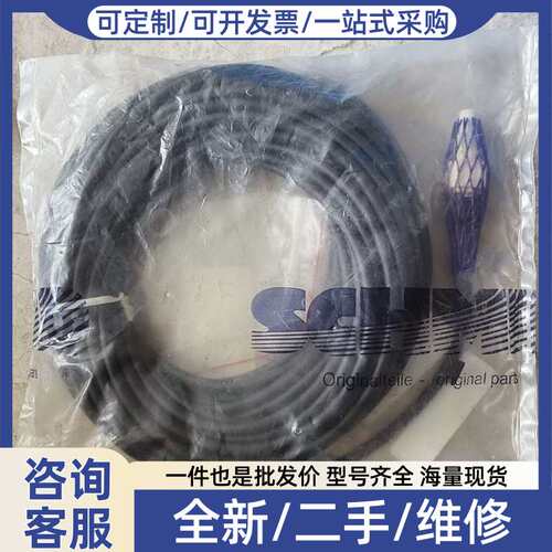 议价efeor300分体式变送器SF0540