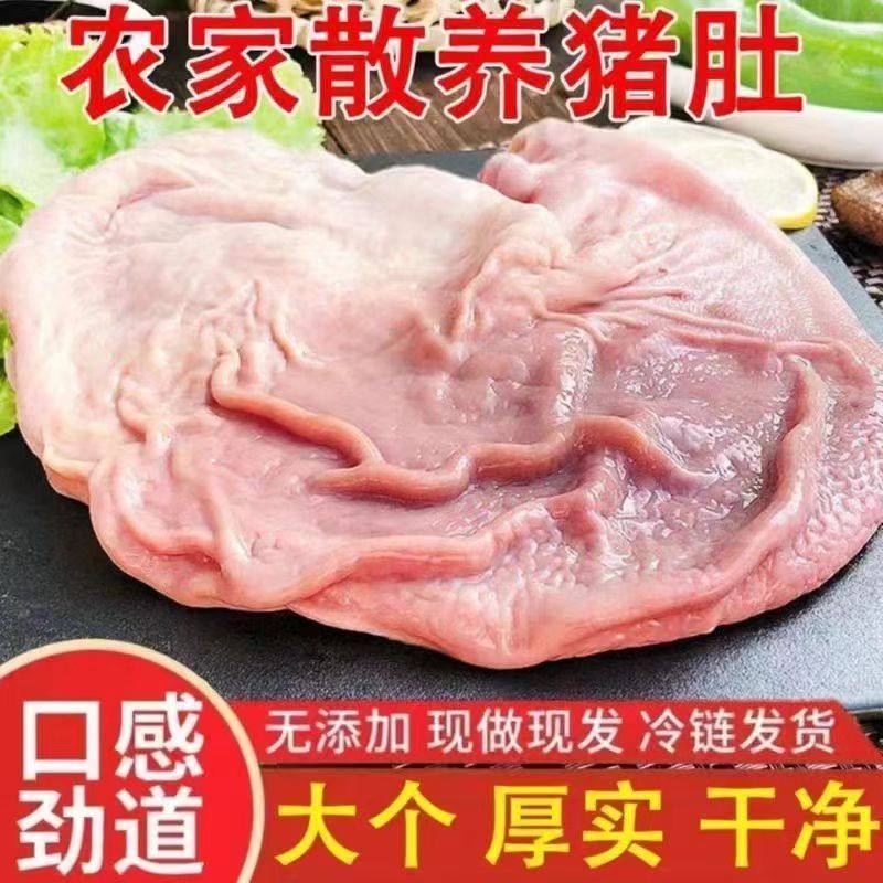 【农家散养】猪肚新鲜干净无油整只特厚猪肚猪胃商用冷冻批发