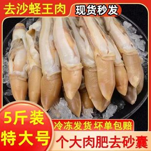 蛏子肉新鲜冷冻蛏王肉海鲜竹节蛏竹蛏王鲜活冰冻海圣子肉生鲜商用