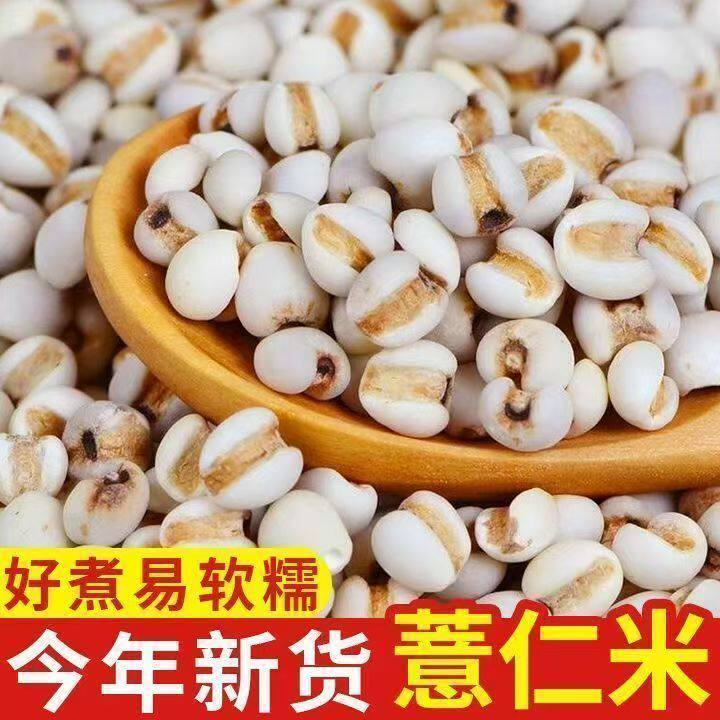 新货正宗薏米2026新货薏仁米可搭配赤小豆牛奶杂粮五谷批发