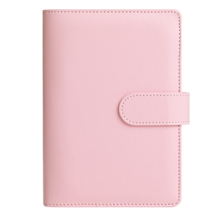 存钱本可放现金儿童零钱存钱夹钱册超大容量纸币收藏册2024龙年纪念钞收纳册家万元存钱收纳包可拆卸存放袋