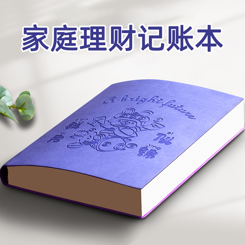 记账本子收入明细加厚工作日常开支家庭理财笔记本每日生活工资人情往来家用我的记账本2024年新款记帐记事本-封面