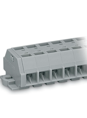 WAGO万可4线端子排不带推压键带有固定耳2极灰色260-202