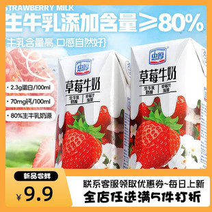 忠厚草莓牛奶整箱200ml*6盒/12盒老人儿童学生早餐草莓味牛奶饮品