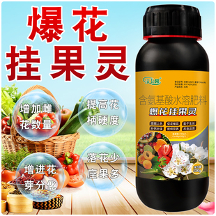 爆花挂果灵1号通用型强力坐果灵正品提高座果率一整套保花保果