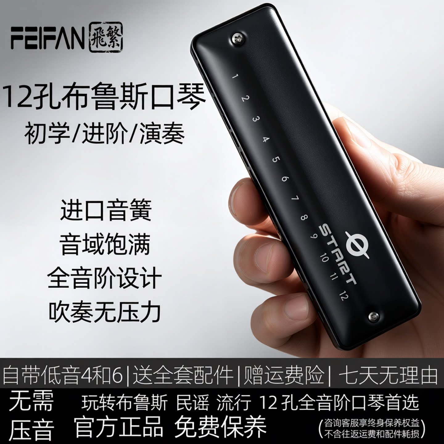 FEIFAN飞繁12孔布鲁斯口琴全音阶低音带FaLa初学者成人专业演奏琴
