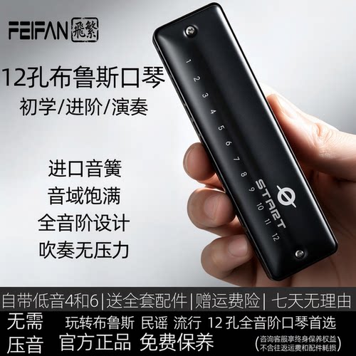 飞繁12孔布鲁斯全音阶口琴带FaLa