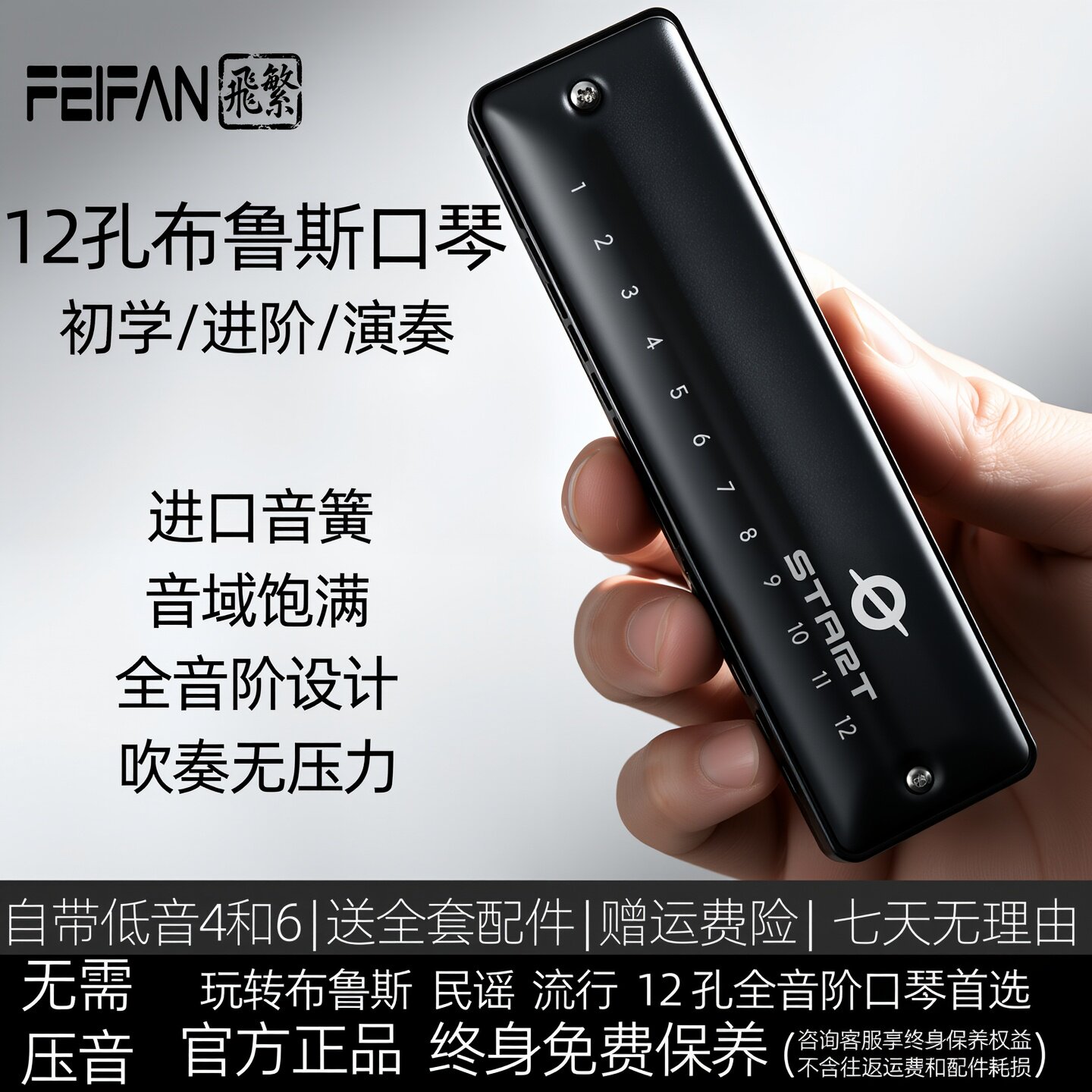FEIFAN飞繁12孔布鲁斯口琴全音阶低音带FaLa初学者成人专业演奏琴
