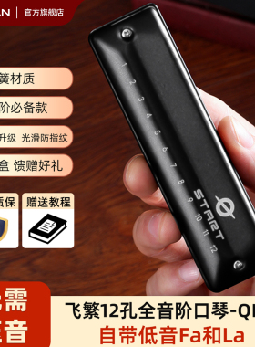 FEIFAN飞繁12孔布鲁斯口琴全音阶低音带FaLa初学者成人专业演奏琴