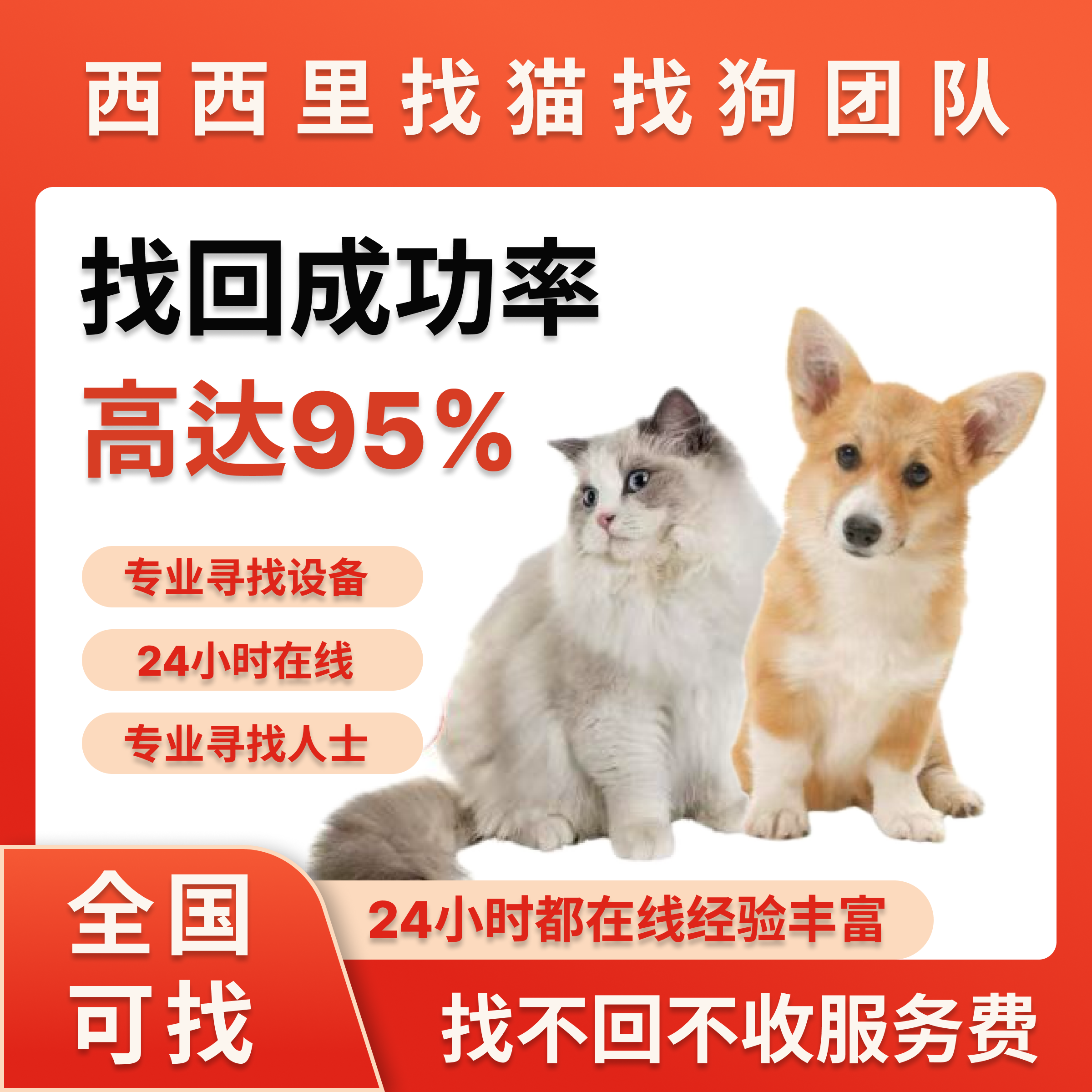 全国宠物找猫服务找狗服务寻猫团队宠物侦探寻找宠物搜救找猫团队