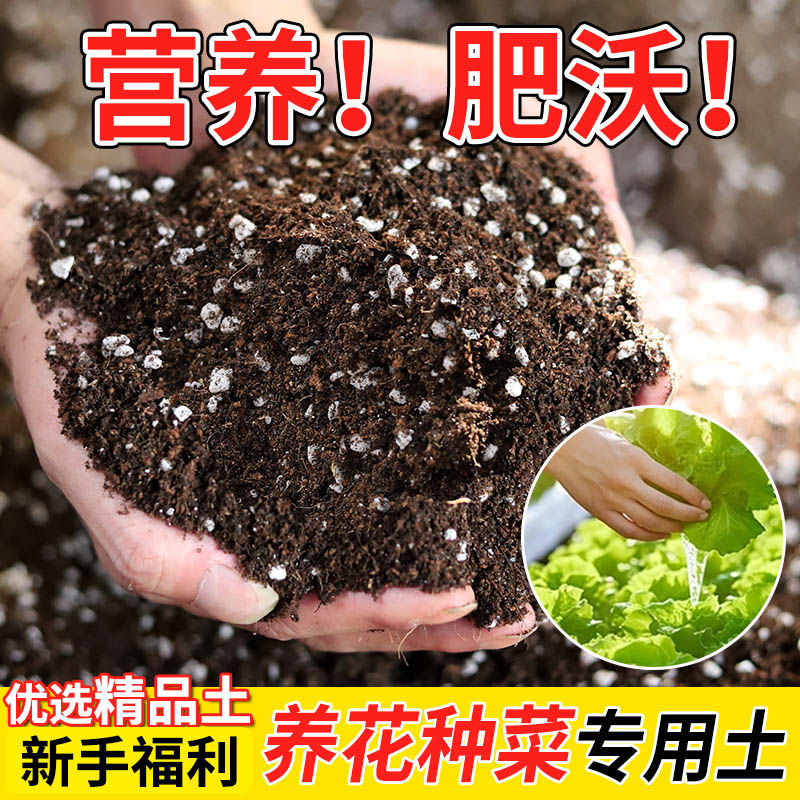 黑土种植土腐殖土草炭土营养有机土多肉土泥炭土种菜泥土肥料花土