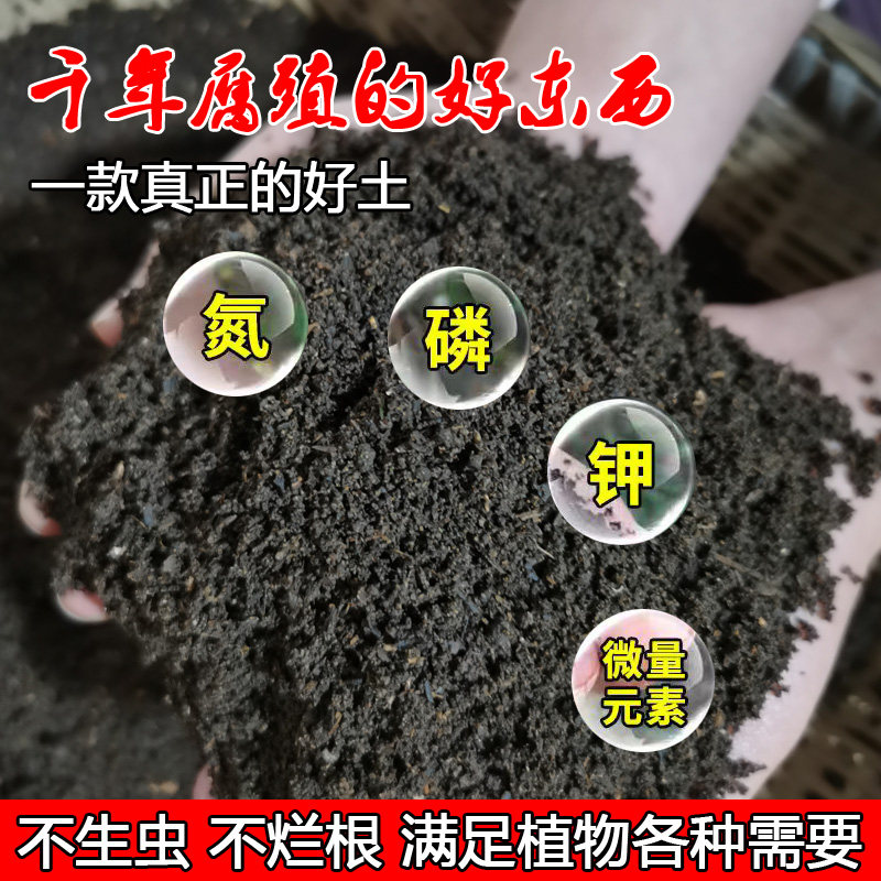 通用大森林腐熟腐叶土种植土壤种菜养花通用有机营养土松针腐殖土