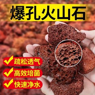 火山石小颗粒盆栽天然滤材玄武岩营养土水族铺面垫底