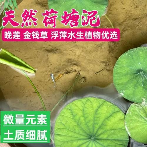 荷塘泥碗莲专用泥土何花塘泥铜钱专用土草淤泥水培莲花河泥池塘泥