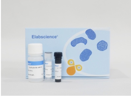 Elabscience®线粒体膜电位检测试剂盒(JC-1)E-CK-A301，100Assays