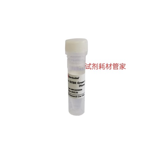 染料法SYBR Green qPCR预混液(2×,无ROX)适用qPCR基因表达量分析