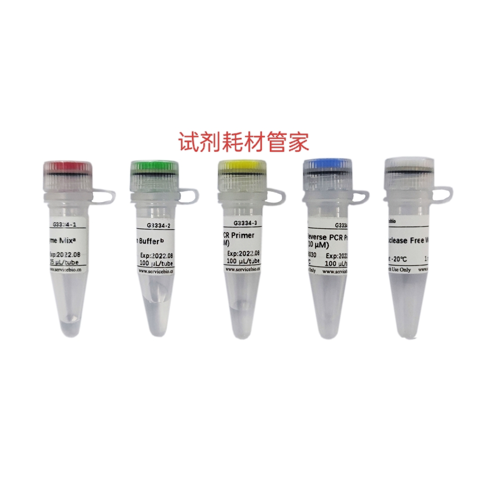 miRNA第一链cDNA合成试剂盒(加尾法)加A尾+逆转录同步用于PCR体系