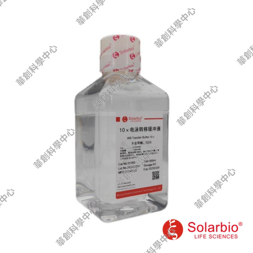 10×电泳转移缓冲液（转膜液）WB Transfer Buffer，10× 电转液