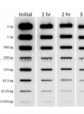 BioLegend  Western-Ready™ ECL 底物增强型试剂盒，货号426315