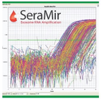 SBI SeraMir外泌体RNA纯化柱试剂盒（20exoRNA columns）RA808A-1