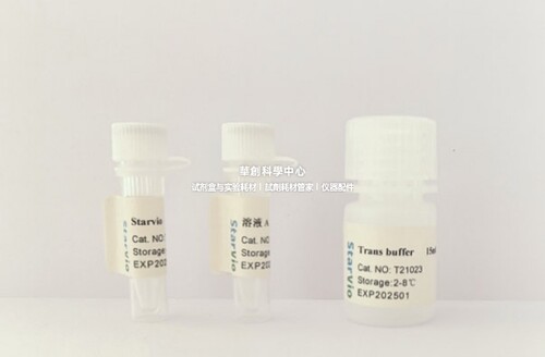 Starvio DNA&siRNA转染试剂盒 高效转染多形式核酸高效转染试剂盒