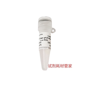 染料法SYBR Green qPCR预混液(2×,低ROX)适用qPCR基因表达量分析