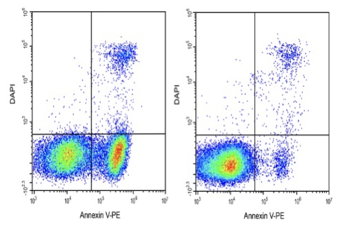 Elabscience® Annexin V-PE 染色液，E-CK-A115，适用荧光标记