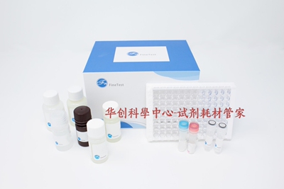 小鼠抗基孔肯雅病毒E2糖蛋白IgG抗体(CHIKV E2 IgG) ELISA试剂盒