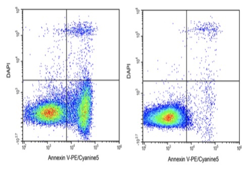 Elabscience®Annexin V-PE/Cyanine5/DAPI细胞凋亡检测E-CK-A264