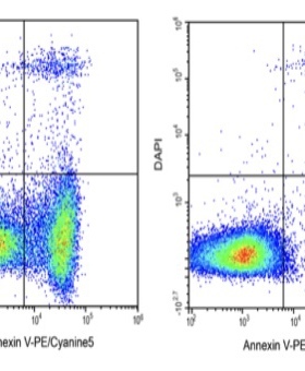 Elabscience®Annexin V-PE/Cyanine5/DAPI细胞凋亡检测E-CK-A264