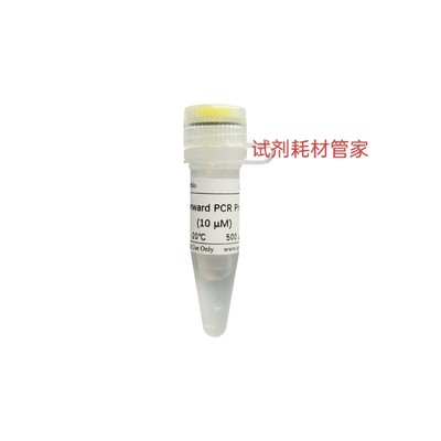 上游U6 PCR引物(miRNA qRT-PCR)与第一链cRNA合成试剂盒搭配使用