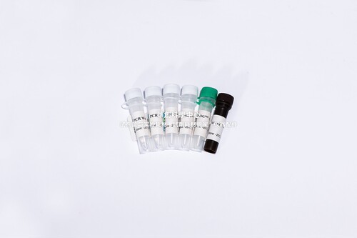 BIOGᴴˢᒼUDG多重探针法荧光定量PCR试剂盒 检测复杂样本靶基因
