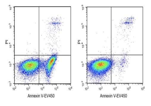 Elabscience® Annexin V-EV450 染色液 E-CK-A133 适用荧光标记