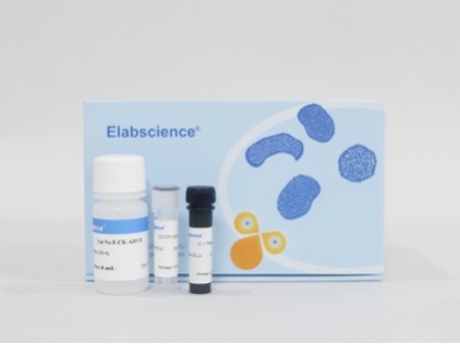 Elabscience®线粒体膜电位检测试剂盒(JC-1),E-CK-A301,100Assays