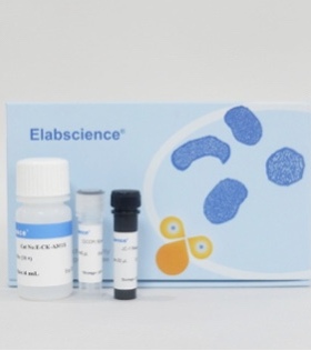 Elabscience®线粒体膜电位检测试剂盒(JC-1),E-CK-A301,100Assays