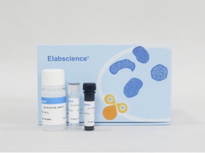 Elabscience®线粒体膜电位检测试剂盒(JC-1),E-CK-A301,100Assays
