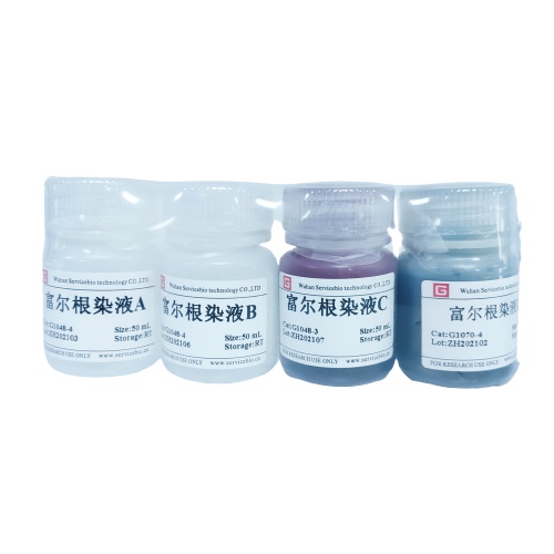 Servicebio核酸染液 富尔根染液 核DNA呈紫红色 细胞质等呈淡绿色