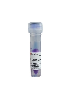 Servicebio500μL六倍浓缩的DNA上样缓冲液6×DNA Loading Buffer