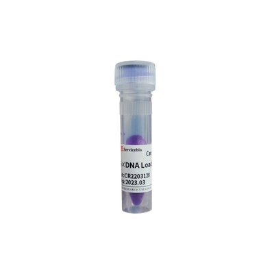 Servicebio500μL六倍浓缩的DNA上样缓冲液6×DNA Loading Buffer