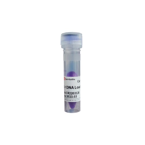 Servicebio500μL六倍浓缩的DNA上样缓冲液6×DNA Loading Buffer