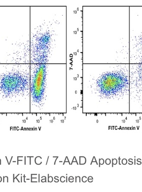 Elabscience®Annexin V-FITC/7-AAD细胞凋亡检测试剂盒E-CK-A212
