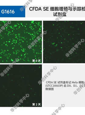 CFDA SE细胞增殖与示踪检测试剂盒，FDA试剂盒，用于细胞增殖研究
